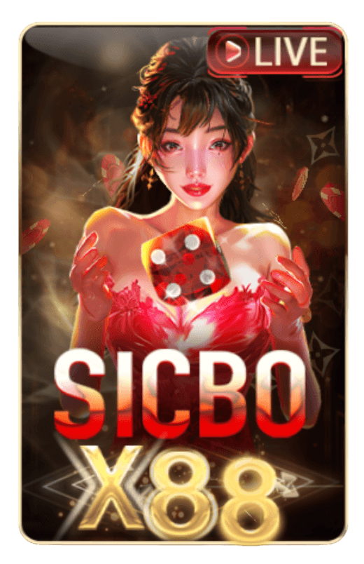 SICBO 88